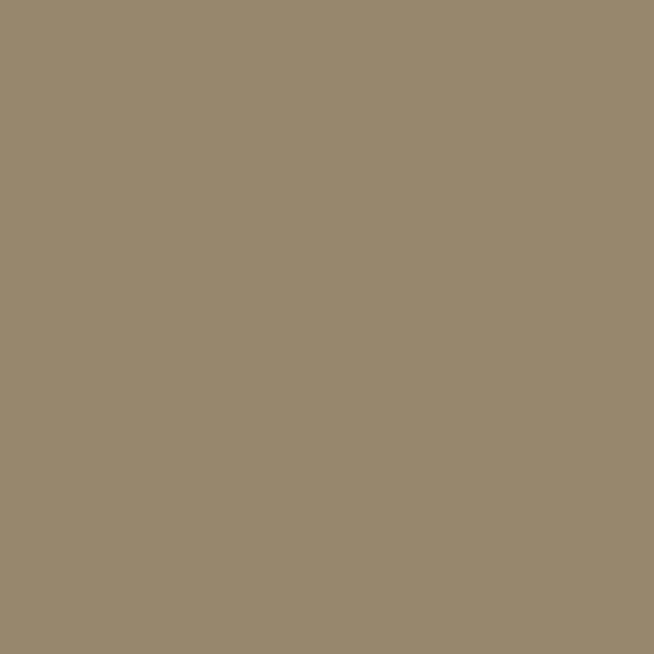 Khaki PF - K4